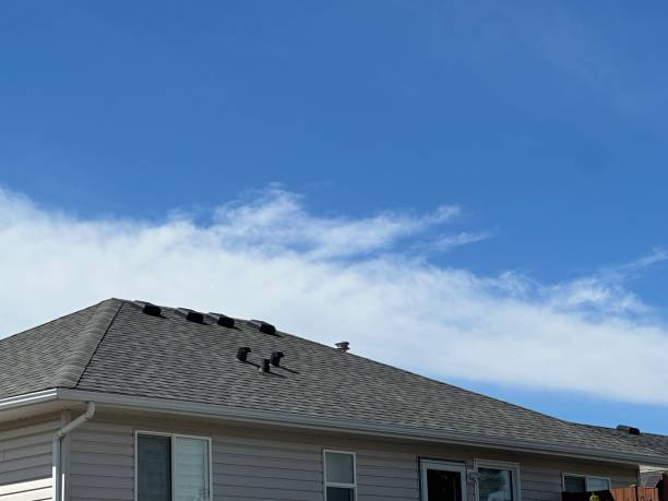 Steel Roofing in Old Jamestown, MO